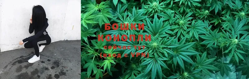 наркотики  Снежногорск  Бошки марихуана SATIVA & INDICA 